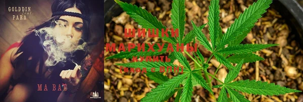дживик Магадан