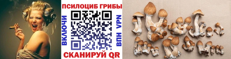 Псилоцибиновые грибы Magic Shrooms  Кудымкар 